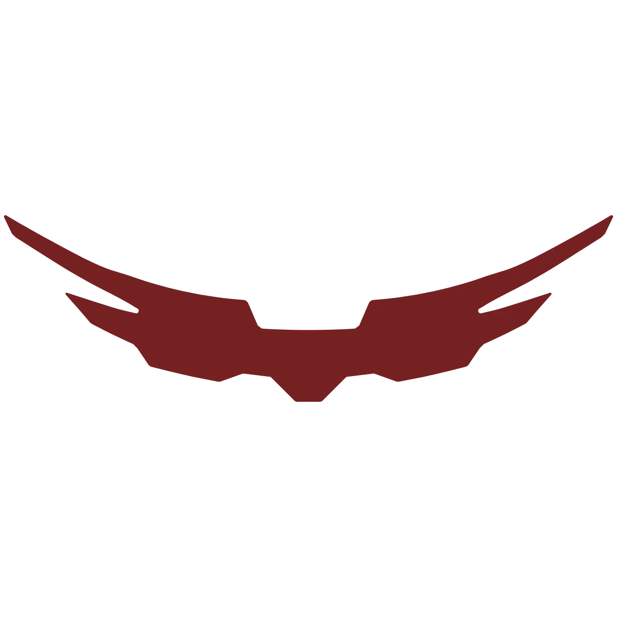 XRS YOUTH BACKPANEL DECAL - Image 8