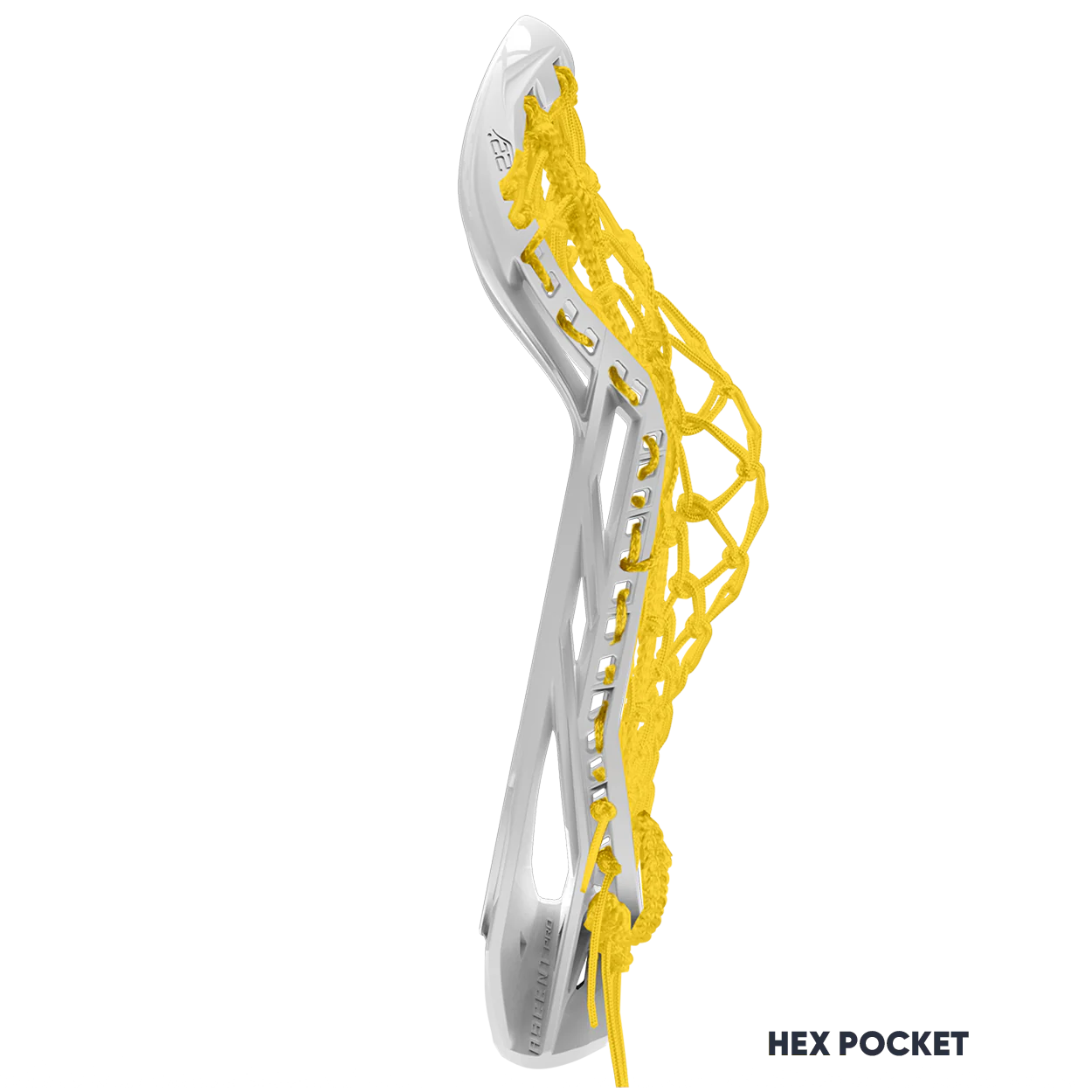 ASCENT PRO HEAD STRUNG - Image 11